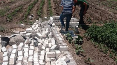 إزالة 10 حالات تعدٍ على الأراضي الزراعية وأملاك الدولة بالبحيرة