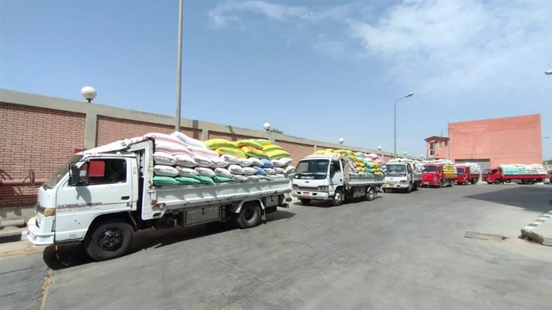 توريد ٢٣٥٠٨٤ طن قمح