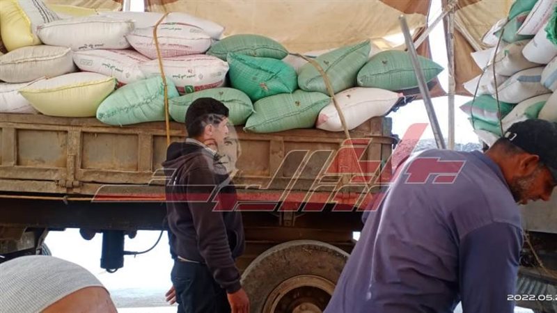 توريد القمح