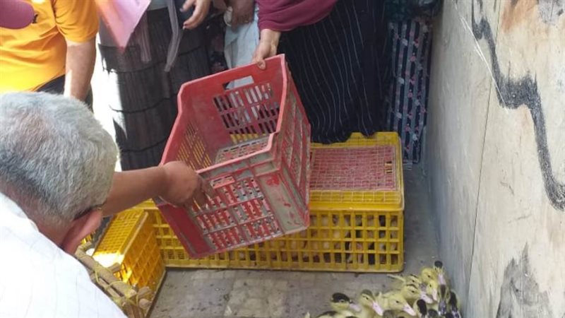 توزيع الطيور ضمن