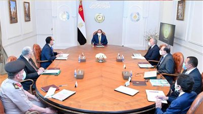 الرئيس السيسي يوجه بدراسة كافة التطورات الخاصة بمشروعات شركة 