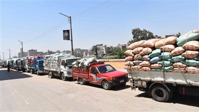 شون وصوامع المنيا تستقبل 342 ألف طن من محصول القمح بجميع المراكز 