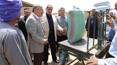 توريد 357 ألف طن من محصول القمح بشون وصوامع المنيا