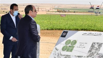 كيف يسهم مشروع مستقبل مصر في توفير فرص عمل للمواطنين.. الأرقام تجيب
