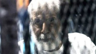 حيثيات حكم المؤبد لـ محمود عزت في أحداث مكتب الإرشاد