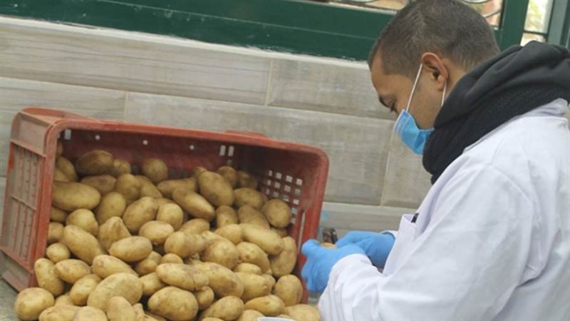 منفذ لبيع البطاطس