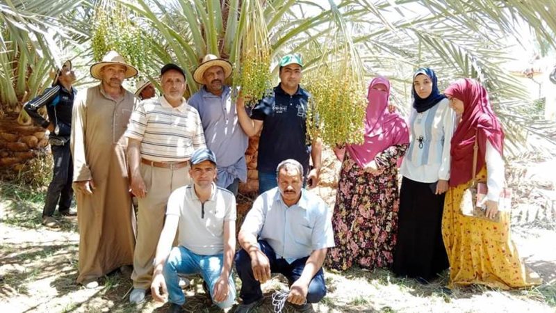 ندوات ارشاديه ميزانيه