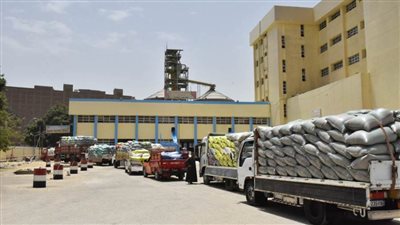 محافظ أسيوط يعلن ارتفاع كمية محصول القمح المحلي الموردة لـ30 شونة وصومعة