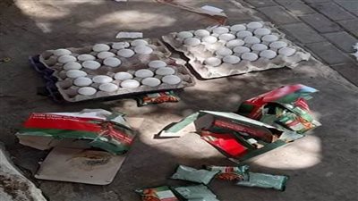 إعدام كمية من الأغذية والسلع الفاسدة بالشيخ زويد