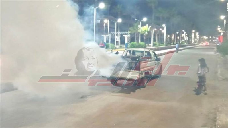 مكافحة الباعوض