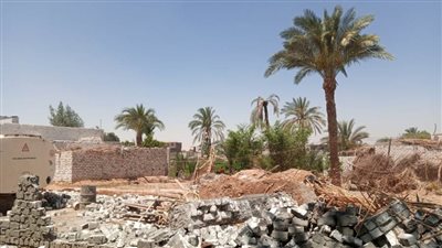 محافظ أسيوط: إزالة 6 حالات تعدٍّ على الأراضي الزراعية خلال حملات بمراكز منفلوط والفتح والقوصية