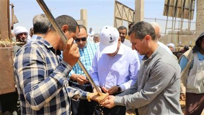 محافظ المنيا بشونة المسيد: توريد 390 ألف طن قمح بالشون والصوامع الحكومية 