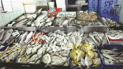 أسعار الأسماك اليوم السبت 28 مايو 2022 في سوق العبور