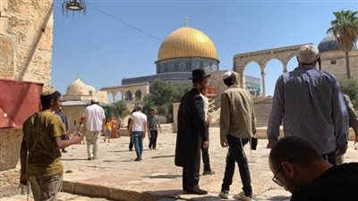 مئات المستوطنين يقتحمون باحات المسجد الأقصى