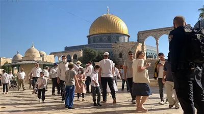 بالفيديو.. ألف مستوطن يقتحمون المسجد الأقصى تحت حراسة شرطة الاحتلال الإسرائيلي