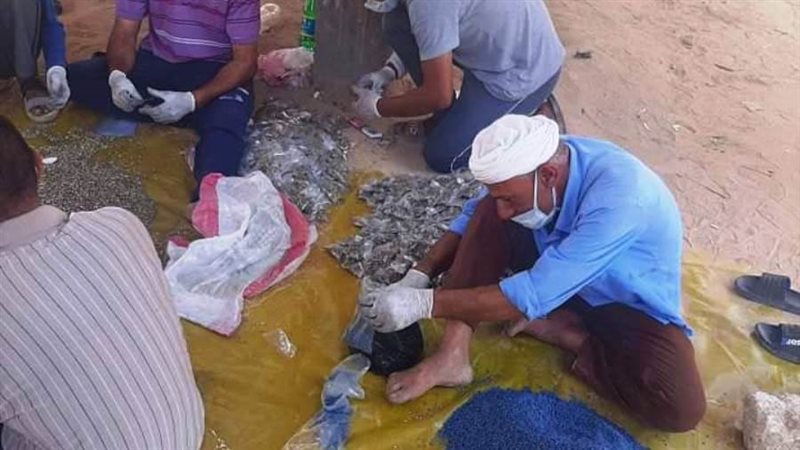 الراكومين للقضاء