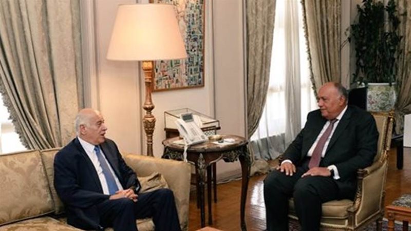 سامح شكري يلتقي الفريق