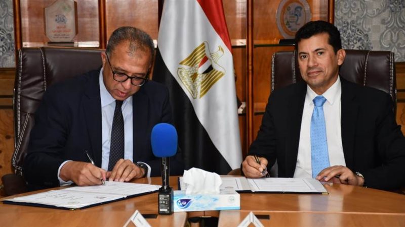 د. أشرف صبحى