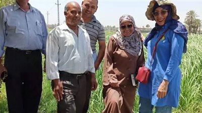 زراعة الفيوم تكثف المرور على المحاصيل الصيفية خاصة القطن والذرة الشامية