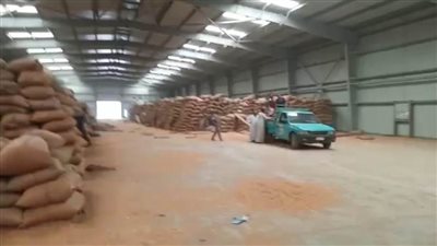 توريد 182 ألف طن قمح بنسبة 79.3% من المستهدف ببني سويف 