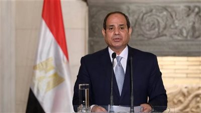 الرئيس السيسي: المباحثات مع رئيس بولندا استعرضت جهود مصر لإيقاف الهجرة غير الشرعية