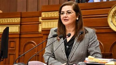 تفاصيل مناقشات وزيرة التخطيط أمام 