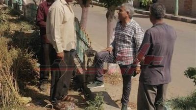 رفع مستوي الخدمات والمرافق بقلين في كفر الشيخ