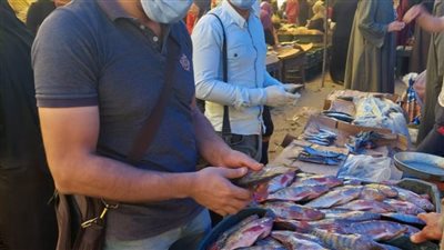 غلق 16 منشأة غذائية وإعداد 2 طن أغذية فاسدة خلال حملة تفتيشية بالشرقية 