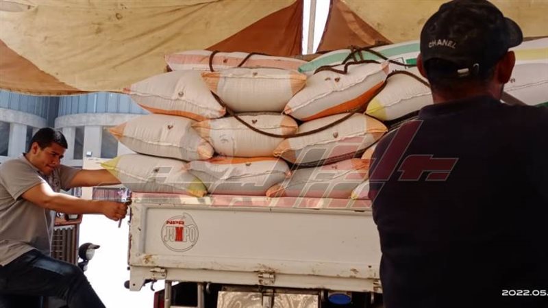 توريد القمح