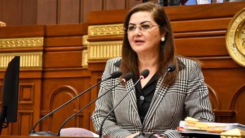 وزيرة التخطيط