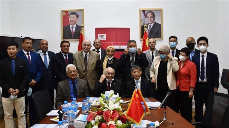 جمعية الصداقة المصرية