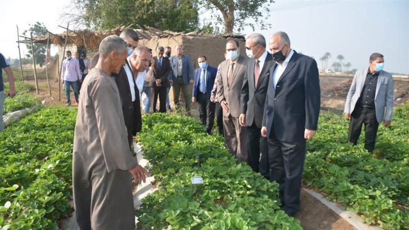 بوابة روز اليوسف