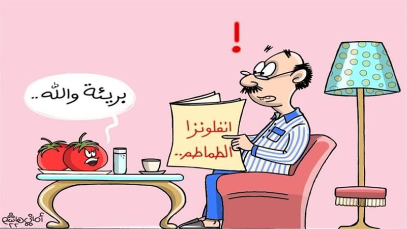 ريشة أماني هاشم