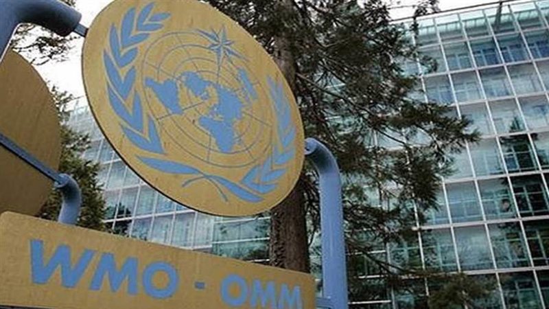 المنظمة العالمية