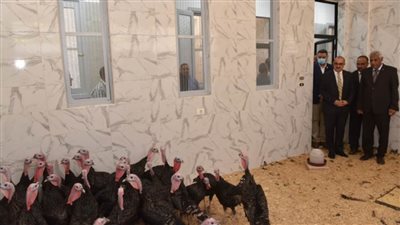 رئيس جامعة أسيوط يفتتح عددًا من مشروعات التطوير والإنتاج بقسم إنتاج الدواجن بكلية الزراعة   