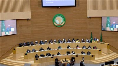 مفوض الاتحاد الإفريقي: مصر تسير في الاتجاه الصحيح..ونعمل على تعزيز روح الوحدة الإفريقية