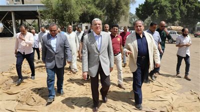 المنيا تستقبل 427 ألف طن قمح بالشون والصوامع الحكومية 