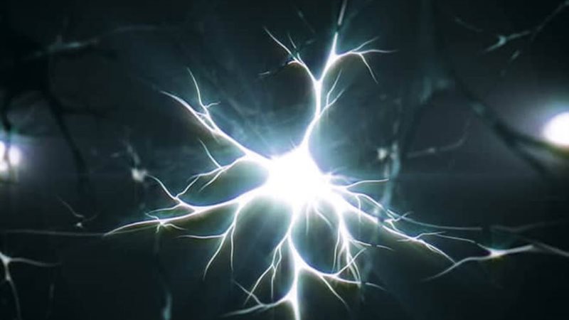 لحظة الموت في المخ