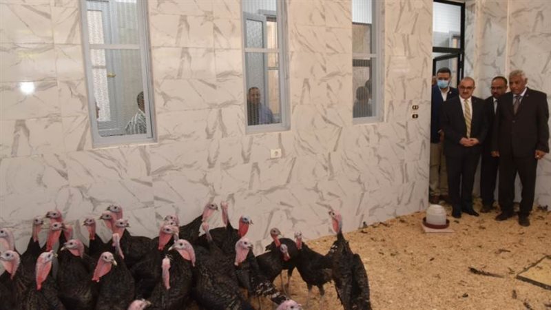 رئيس جامعة أسيوط