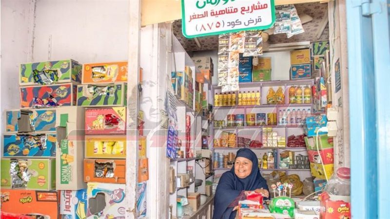 مشروعات الأورمان