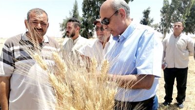 جولة تفقدية لرئيس جامعة المنيا لمركز التجارب والبحوث الزراعية بشوشة. 