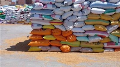 صوامع وشون الشرقية تستقبل 606 آلاف طن من السنابل الذهبية