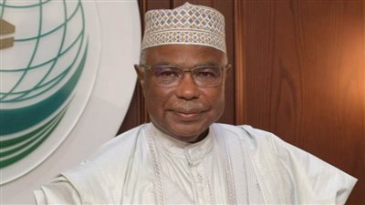 أمين منظمة التعاون الإسلامي: الرئيس السيسي مدافع قوي لأنشطة المنظمة في مجالات عديدة