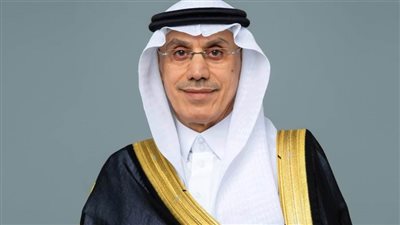 رئيس مجموعة البنك الإسلامي للتنمية يشيد بجهود مصر للحفاظ على استقرار الاقتصاد