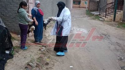 تحصين 29650 طائرا ضد الأمراض الوبائية بكفر الشيخ 