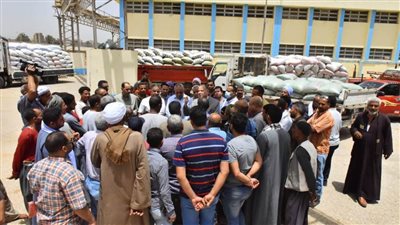 محافظ أسيوط: نسب توريد القمح المحلي من المزارعين بلغت 151 ألف طن 