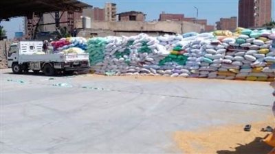 توريد 608 آلاف طن من السنابل الذهبية بصوامع وشون الشرقية 