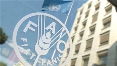 منظمة الأغذية والزراعة: لا بديل عن الإمدادات الغذائية من روسيا وأوكرانيا