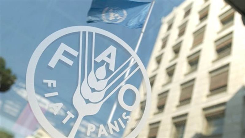منظمة الفاو
