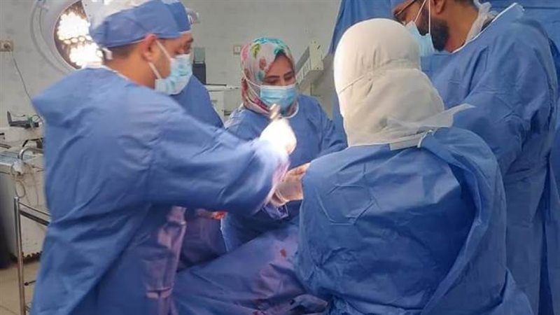 يوم فى حب مصر للقضاء